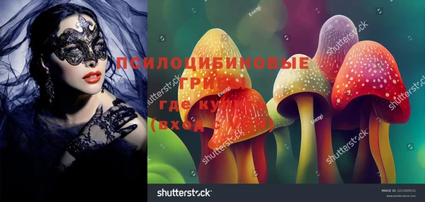 винт Алзамай