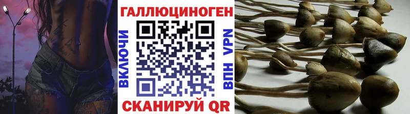 где продают   Палласовка  Псилоцибиновые грибы Magic Shrooms 